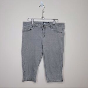 Reitmans Jean Shorts Grey Size 12 Petite Long Line